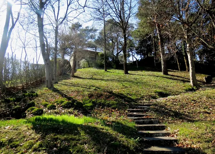 Penthouse - Cardano Όπως