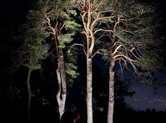 Apartamento Penthouse - Cardano