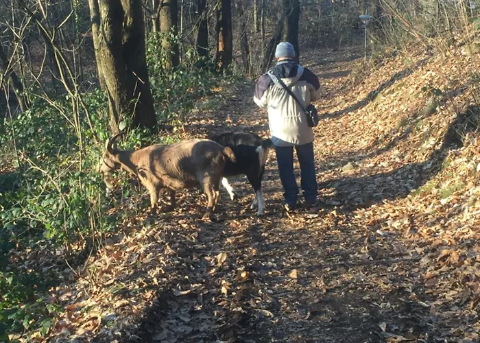 Διαμέρισμα Penthouse - Cardano *