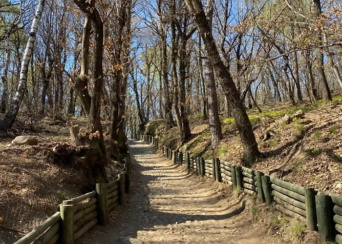 Penthouse - Cardano *