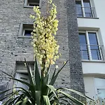 Penthouse - Cardano *