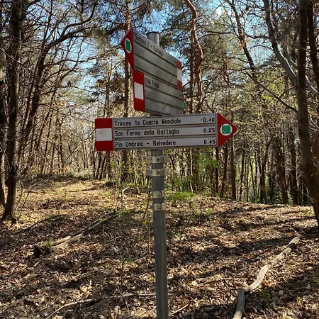 Lejlighed Penthouse - Cardano