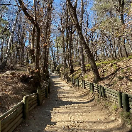 Penthouse - Cardano *